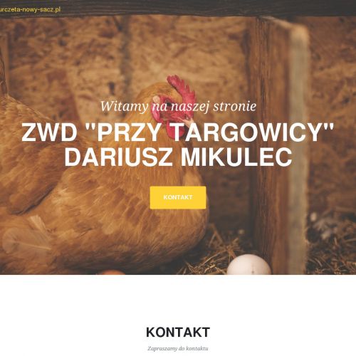 Koguty małopolskie w Nowym Sączu