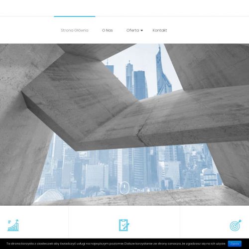 Cement szary portlandzki 25kg