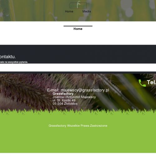 Trawa pennisetum producent