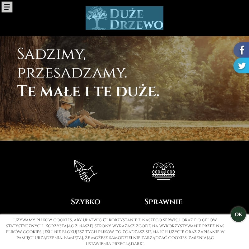 Przesadzanie dużych drzew w Warszawie