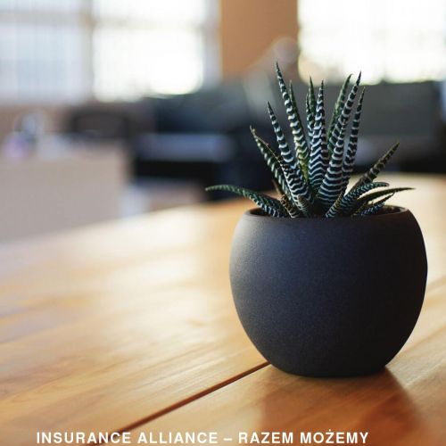 Multiagencje ubezpieczeniowe współpraca - Gdańsk