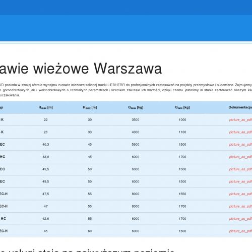 Żurawie wieżowe wynajem w Warszawie