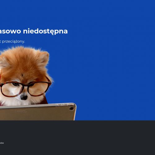 Dezynsekcja Warszawa