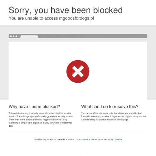 Zabawka do rzucania dla psa