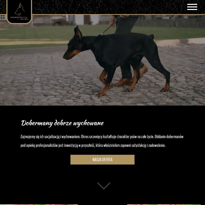 Doberman dolnośląskie w Wrocławiu