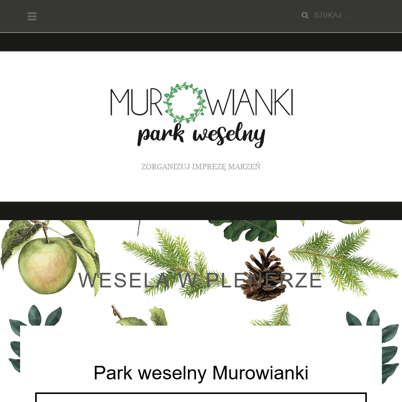 Sala weselna łódzkie - Sieradz