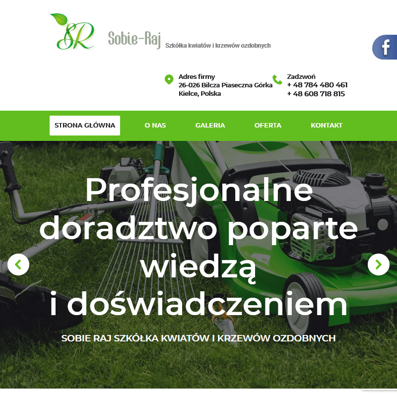 Sadzonki kwiatów balkonowych